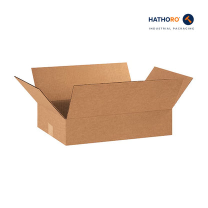 Hathoro 20 x 12 x 4 inch corrugated shipping box