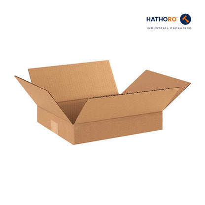 Hathoro 12 x 10 x 2 inch corrugated shipping box